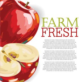 Vektor-Bauernhof-frisches Obst-Hintergrund-design