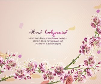 Vector Floral Background Art Set