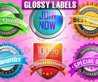 Vector Glossy Labels