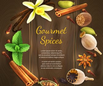 Vector Gourmet Spices Background