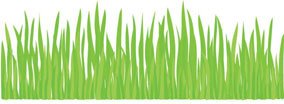 Vector Grass Design Pattern