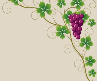 Vector Juicy Grapes Design Graphic Set 8