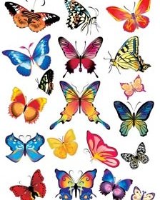 Vector Diseño Agradable De Hermoso Colorido Conjunto De Mariposa Volando