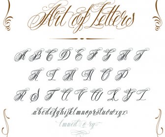 Vektor-Retro-kalligrafischen Elementen-set