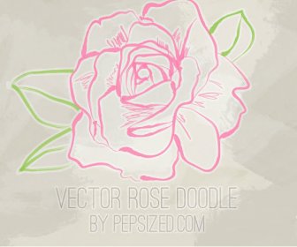 Vektor Rose Gekritzel