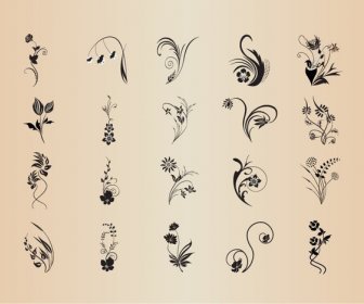 Vector Set Of Abstract Patterns Of Floral