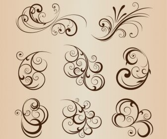 Vector Set Of Floral Elements For Graphic Design