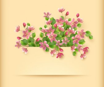 春のセットをベクトル花カード デザイン