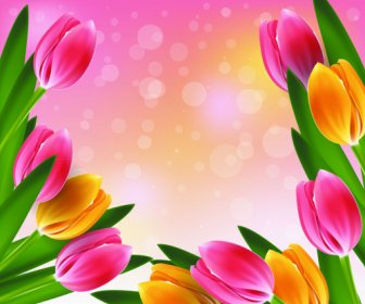 Vector Set Of Spring Flowers Design Graphics