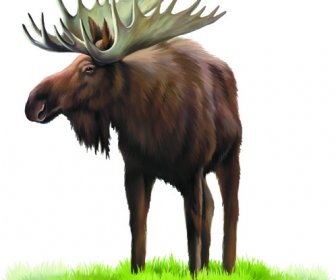 Vector Set Desain Hewan Yang Realistis