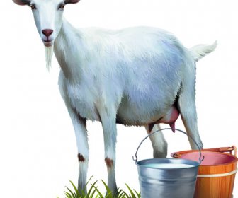 Vector Set Desain Hewan Yang Realistis