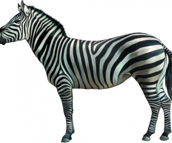 Vector Set Desain Hewan Yang Realistis