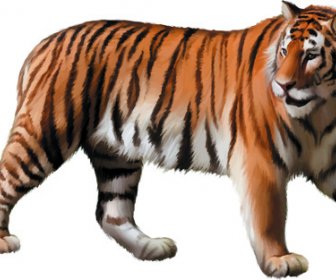 Vector Set Desain Hewan Yang Realistis