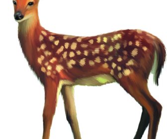 Vector Set Desain Hewan Yang Realistis