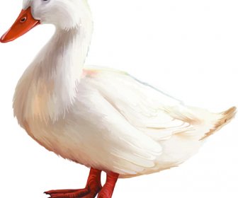 Vector Set Desain Hewan Yang Realistis