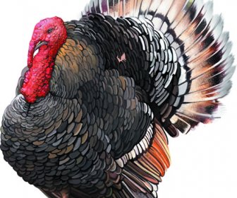 Vector Set Desain Hewan Yang Realistis