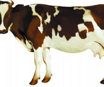 Vector Set Desain Hewan Yang Realistis