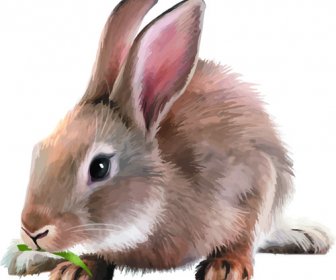 Vector Set Desain Hewan Yang Realistis