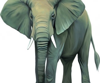 Vector Set Desain Hewan Yang Realistis