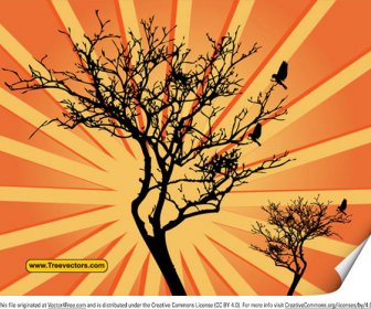 Vector Sunburst Background With Tree