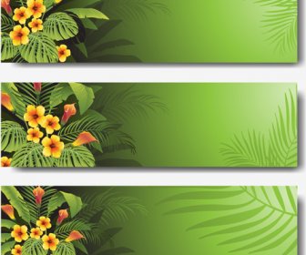 Vektor Tanaman Tropis Yang Hijau Banner Set