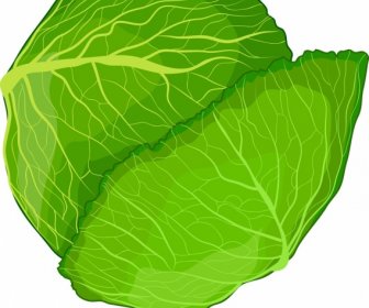 Vegetable Background Green Cabbage Icon Decor