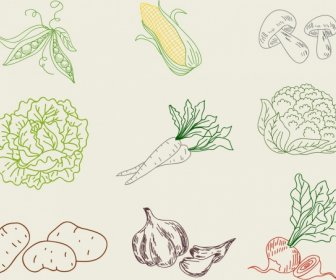 Vegetable Icons Collection 3d Handdrawn Outline