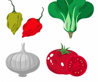 Vegetables Icons Chilli Chok Choy Onion Tomato Sketch
