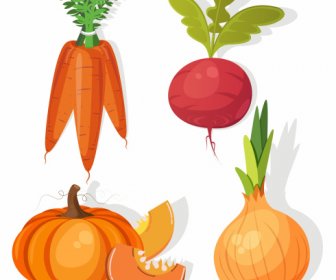 Gemüse-Ikonen Farbige Karottenrüben Kürbis Zwiebel Skizze