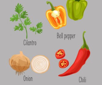 Vegetables Icons Colored Classical Handdrawn Outline
