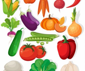 vegetables icons colorful classic design