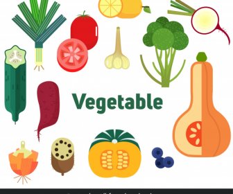 Vegetables Icons Colorful Classical Flat Sketch