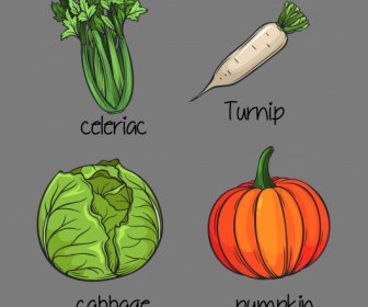 Vegetables Icons Handdrawn Celeriac Turnip Cabbage Pumpkin Sketch