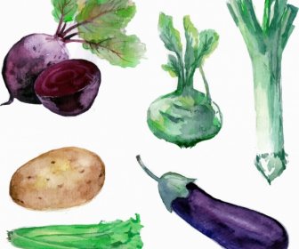 Vegetables Icons Watercolored Handdrawn Sketch