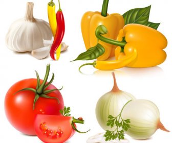 Gemüse-realistisch-Sammlung