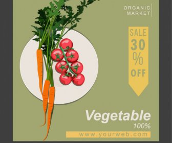Vegetables Sale Banner Elegant Flat Classic Sketch