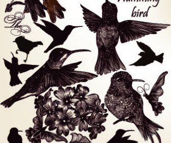 Vintage Kuşlar Ve Kelebekler Vektör Tasarımı