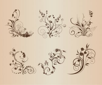 Elementos Del Patrón Floral Vintage Vector Ilustración
