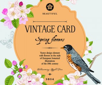 Vintage Flower And Bird Card Vector Graphics