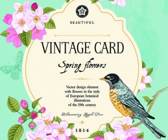 Vintage Flower And Bird Card Vector Graphics