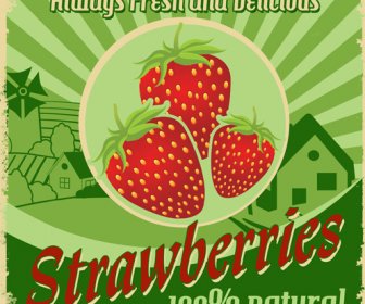 Vintage Styles Strawberries Poster Vector