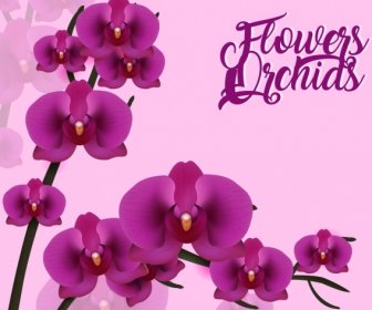 Violet Orchids Background 3d Design