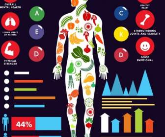Vitamin Manfaat Infographic Tubuh Manusia Ikon Grafik Dekorasi