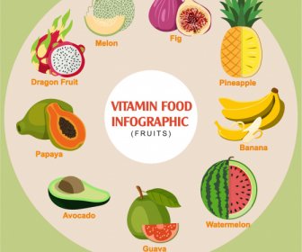 Vitamin Food Infographic Banner Colorful Emblems Circle Layout