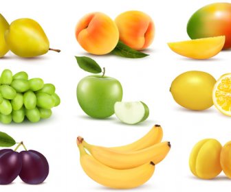 Vivid Fruits Design Vector Graphics