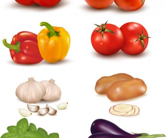 鮮やかな野菜のデザインのベクトル