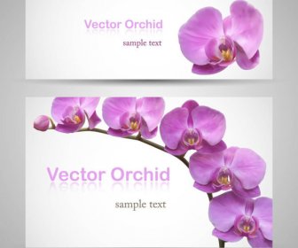 Vivid With Flower Banner Design Vector