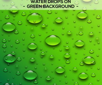 Gotas De água No Fundo Verde