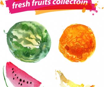 Watercolor Fresh Fruits Set Vector