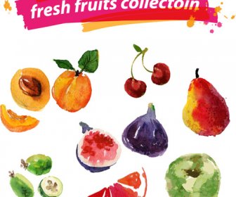 Frutas Frescas Aquarela Defina Vetor